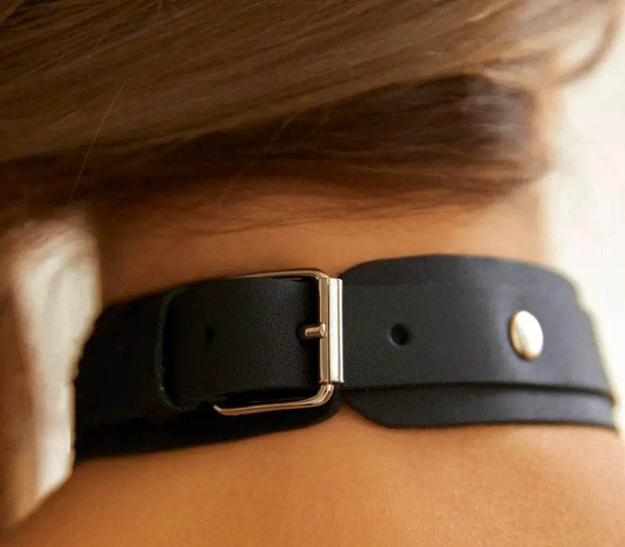 FancyStar™ Collar with Leash HEMSMTH054