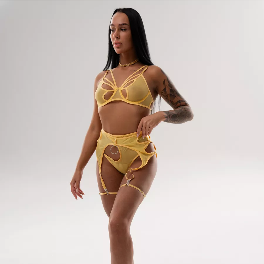 FancyStar™ Spice Cut Out Lingerie Set HEMSMTH146