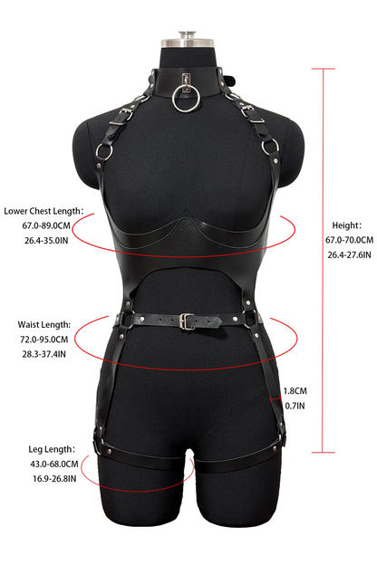 FancyStar® Dominaria Harness Set