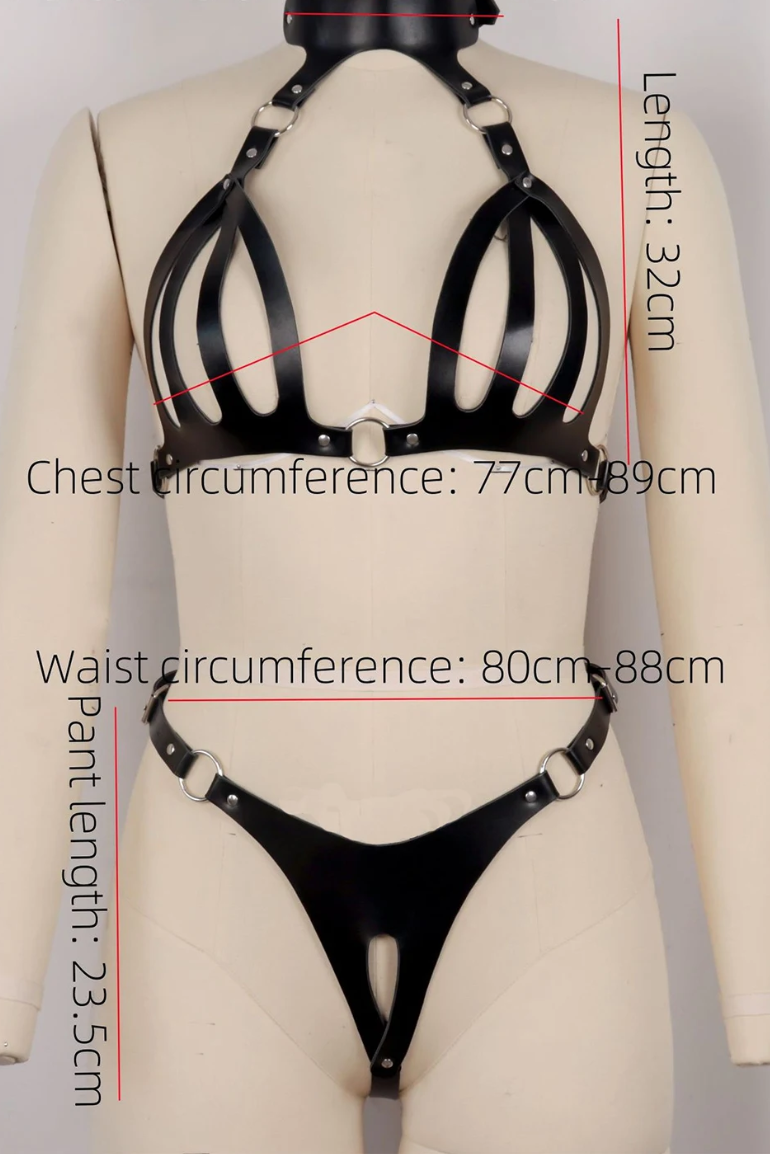 FancyStar® Ravish Strappy Harness Set