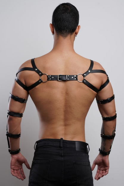 Ultimate Bold Arm Harness HEMSTTL074