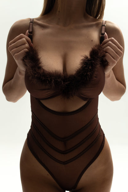 FancyStar™ Charlotte