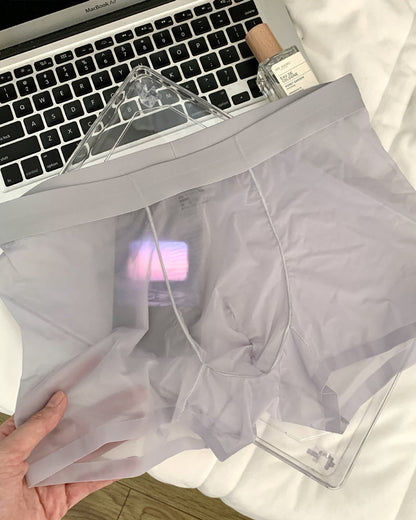 Men's Ice Silk Sexy Comfortable Thin Seamless Breathable Underwear