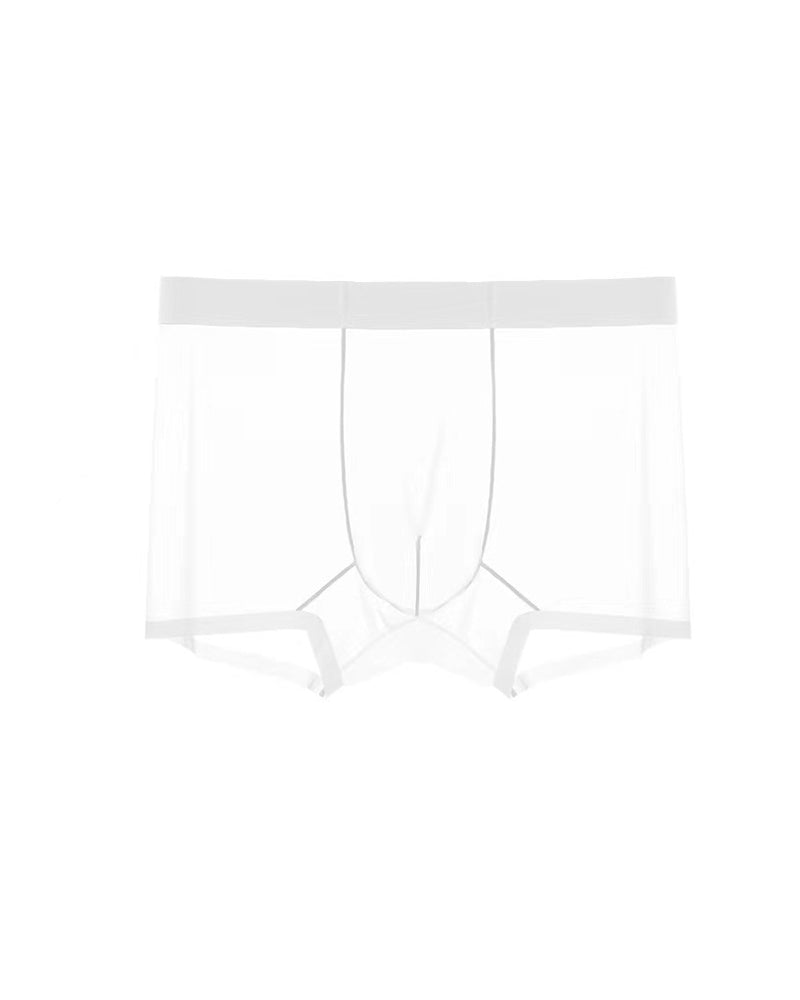 Men's Ice Silk Sexy Comfortable Thin Seamless Breathable Underwear
