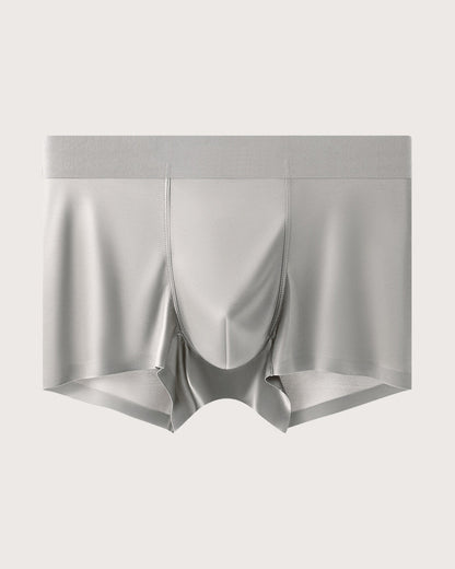 Men's Ice Silk Mulberry Silk Antibacterial Boxer Briefs