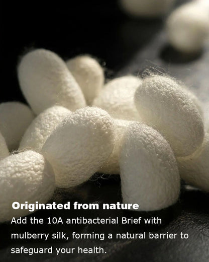 Men's Ice Silk Mulberry Silk Antibacterial Boxer Briefs