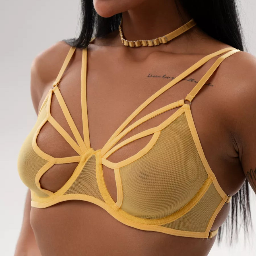 FancyStar™ Spice Cut Out Lingerie Set HEMSMTH146