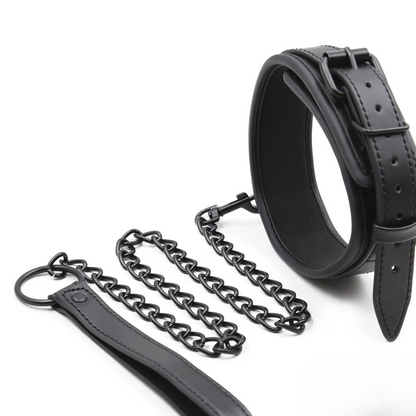 FancyStar™ Leash Collar HEMSPTT042