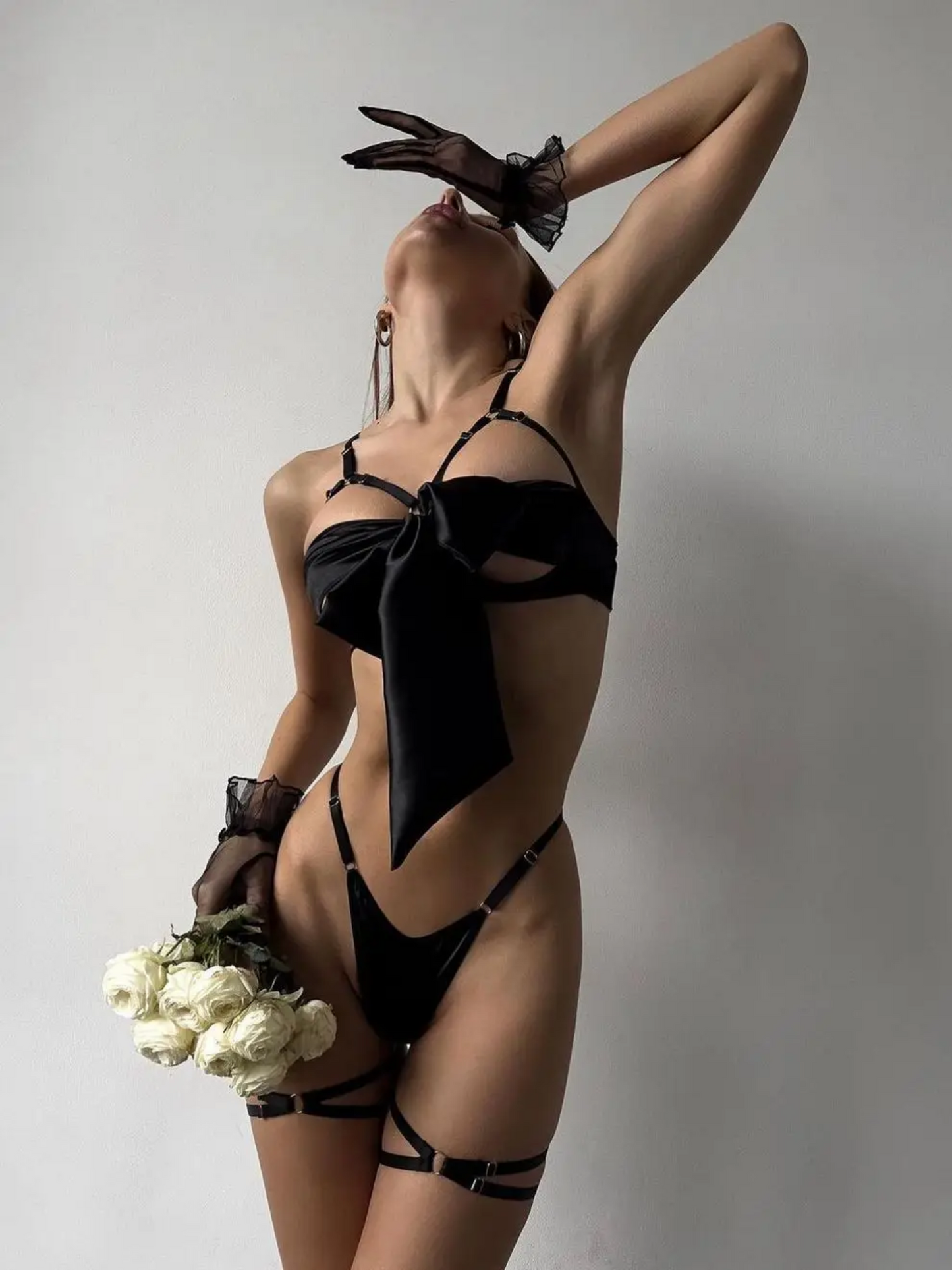 FancyStar™ GIVRA Bound Bliss Harness Set