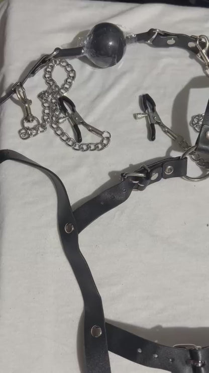 FancyStar™ DOMINA 3-in-1 BDSM Set