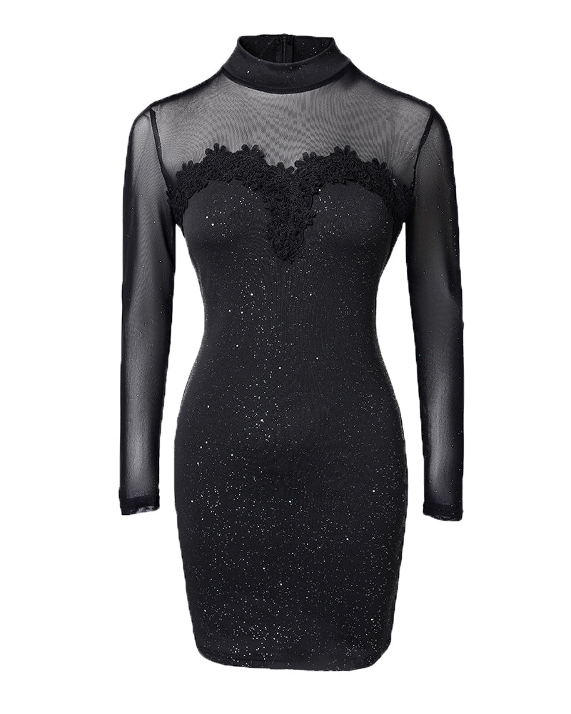 Shimmering Mesh Floral Embroidery Patchwork Round Neck Long Sleeve Bodycon Dress