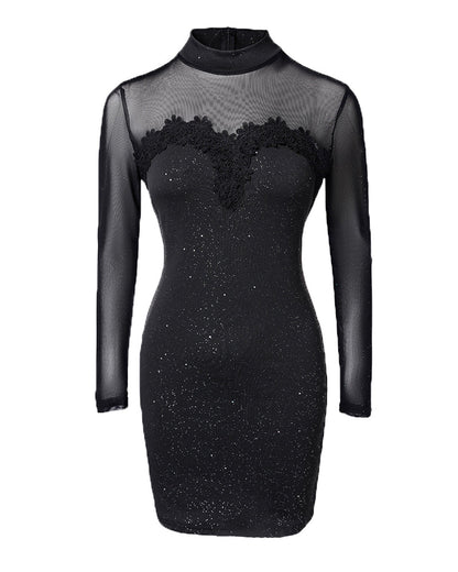 Shimmering Mesh Floral Embroidery Patchwork Round Neck Long Sleeve Bodycon Dress